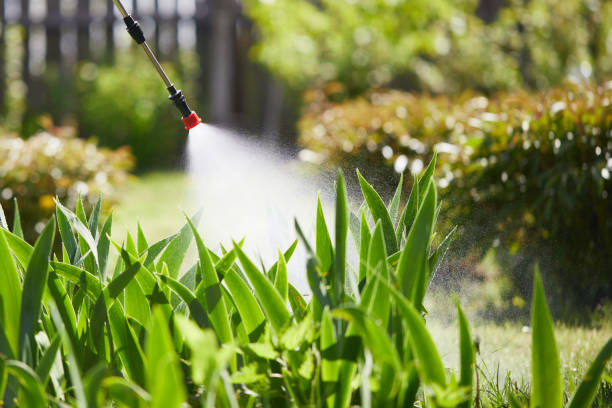 Tamper-Resistant Bait Stations for Rodents in Hempstead