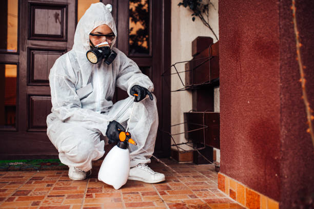 Attic and Crawl Space Rodent Treatment in Hempstead